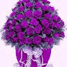 Sanjoy das