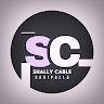 Shallynetworks