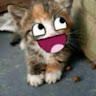wimsycl